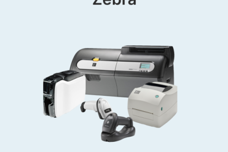 Zebra Zebra